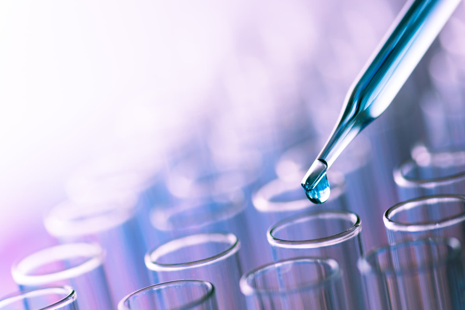 Rows of laboratory test tubes and glassware on a research bench